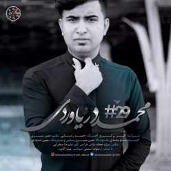 Mohammad Daryavardi – #29
