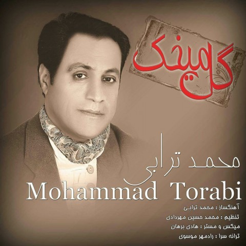 دانلود آهنگ محمد ترابی نرو