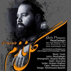 Player Cover