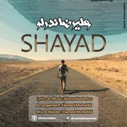 دانلود آهنگ جدید علیرضا ندرلو شاید