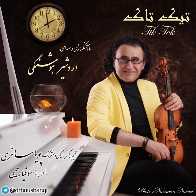 دانلود آهنگ دکتر ادشیر هوشنگی ماه و سنگ