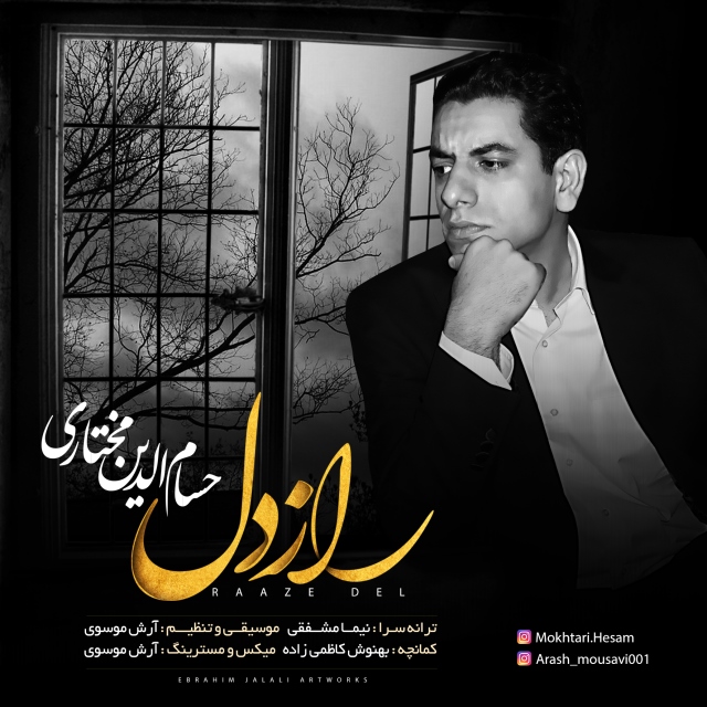 Hesamodin Mokhtari – Raze Del