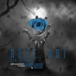 Player Cover