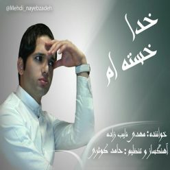 دانلود آهنگ مهدی نایب زاده رد داده