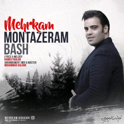 دانلود آهنگ علیرضا مهرکام باران
