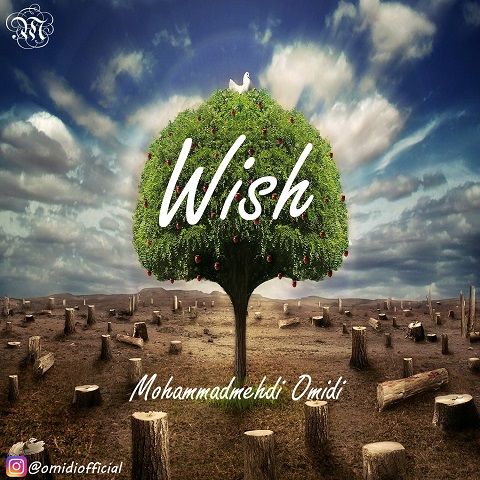 Mohammadmehdi Omidi – Wish