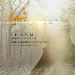 Shamm – Bayad Javab Bedi
