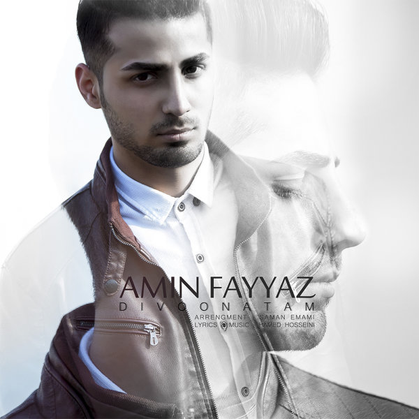 Amin Fayyaz – Divoonatam