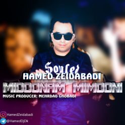 دانلود آهنگ حامد زیدابادی فال