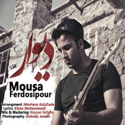 Mousa FerdoosiPour – Divar