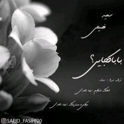 دانلود آهنگ سعید فصیحی عشق