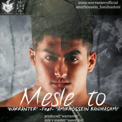 Warranter Ft Amirhossein Banihashemi – Mesle To