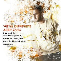 Amir Ziyai – Mesle Man Bashi
