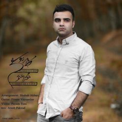 Hamed Yousefi – Negaranetam