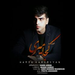 دانلود آهنگ حمید کریمیان نمیبخشمت