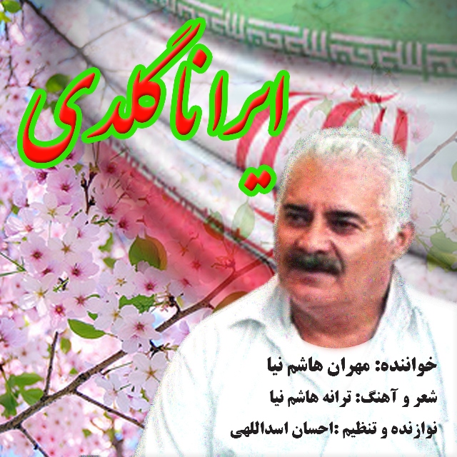 Mehran Hashemniya – Irana galdi