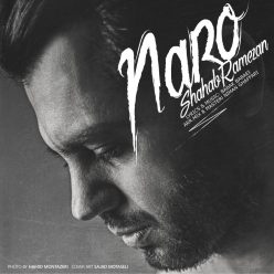 Player Cover