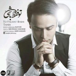 دانلود آهنگ محمد طاهریان امام رضا جانم