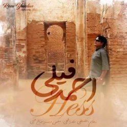 Ahmad Feily – Hess