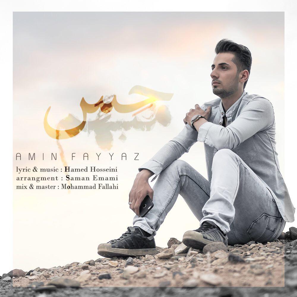 Amin Fayyaz – Hesse Mobham