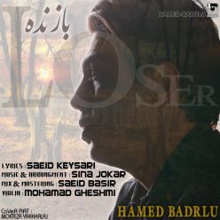دانلود آهنگ جدید حامد بدرلو پازل