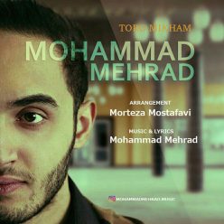 دانلود آهنگ محمد مهراد نمیزارم