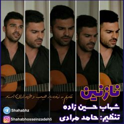 Shahab Hossein Zadeh – Nazanin