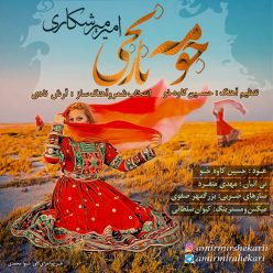 دانلود آهنگ امیر میرشکاری دیگه ناشوم