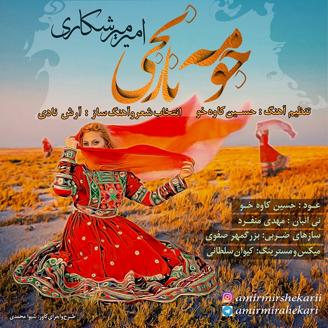 دانلود آهنگ امیر میرشکاری دیگه ناشوم