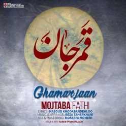 دانلود آهنگ مجتبی فتحی دل