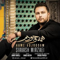 دانلود آهنگ سیاوش میرزایی تنهام نزار