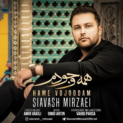 دانلود آهنگ سیاوش میرزایی تنهام نزار