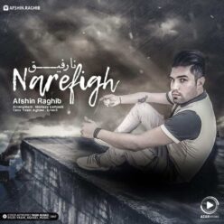Afshin Raghib – Na Refigh