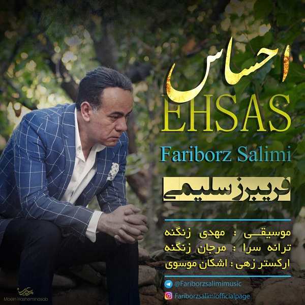 دانلود آهنگ فریبرز سلیمى احساس