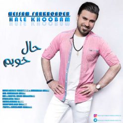 دانلود آهنگ میثم فرخنده حال خوبم