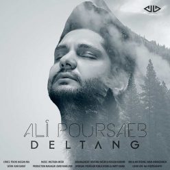 Ali Poursaeb – Deltang