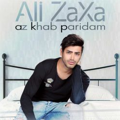 دانلود آهنگ علی زاکسا و جواد شهرابی و حمید عرشیا خاطرات بارونی