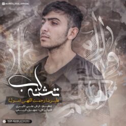 Alireza Rahmatalahi – Teshne Lab