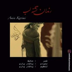Amin Karimi – Rendan Teshne Lab
