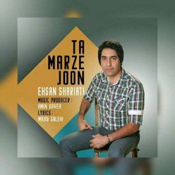 دانلود آهنگ احسان شریعتی بمونم باهات