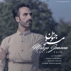 دانلود آهنگ میثم حمیدی فکرت نمیزاره