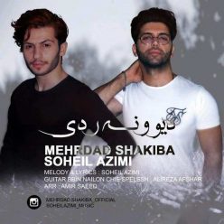 دانلود آهنگ مهرداد شکیبا و سهیل عظیمی دیوونه ردی با کیفیت 320