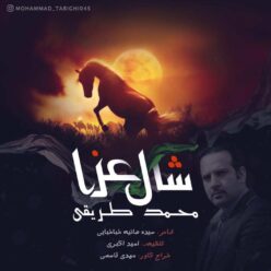 Mohammad Tarighi – Shale Aza