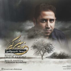 دانلود آهنگ نیما شیروانی اینجوریا نیست
