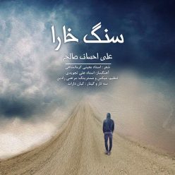 دانلود آهنگ علی احسان  صالح خاص