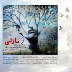 دانلود آهنگ امیر بقراطی نازلی با کیفیت 320