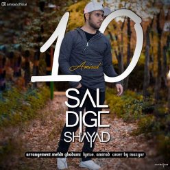 دانلود آهنگ امیراد ده سال دیگه شاید