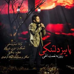 Player Cover