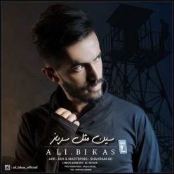 دانلود آهنگ حسین علی شاه تولد بی کسی