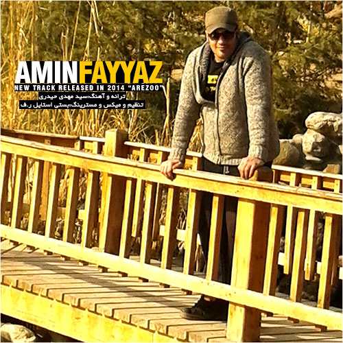 Amin Fayyaz – Arezoo